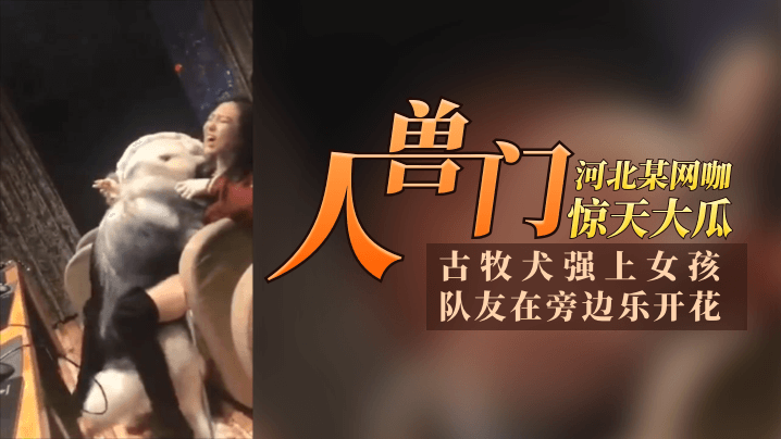 12.11惊天大瓜河北某网咖“人兽门”！古牧犬强上女孩，队友再旁边乐开花，青年人太会玩了！[补录]